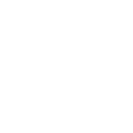 21null